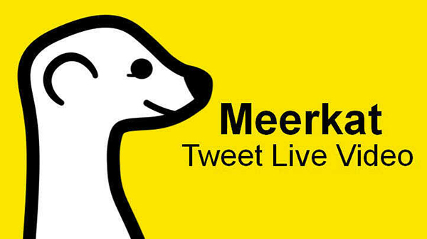Meerkat Twitter