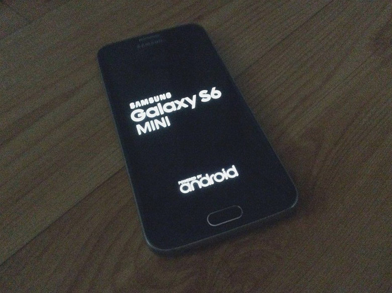 Samsung Galaxy S6 Mini