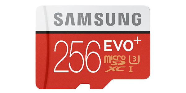 Samsung 256GB EVO micro SD
