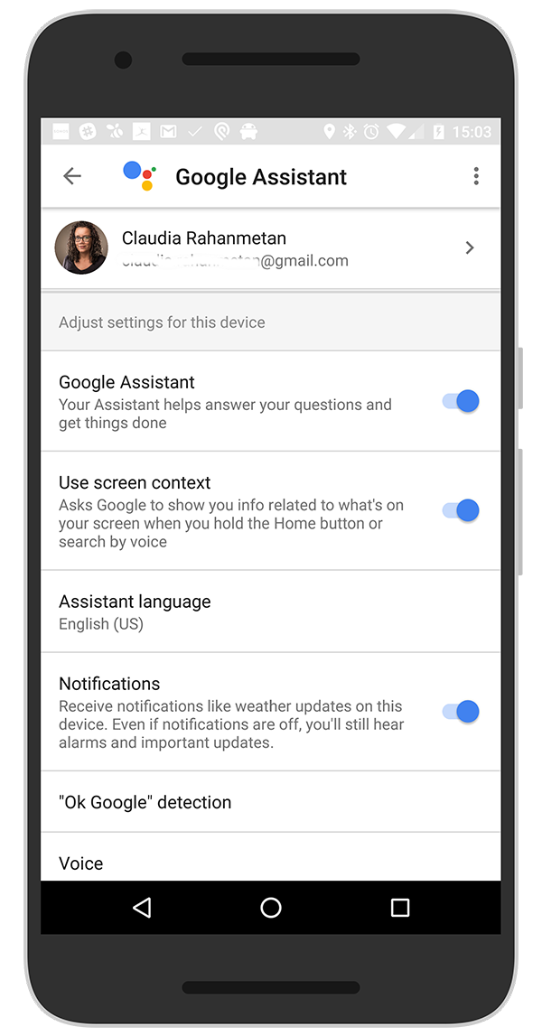 Google Assistant notificaties
