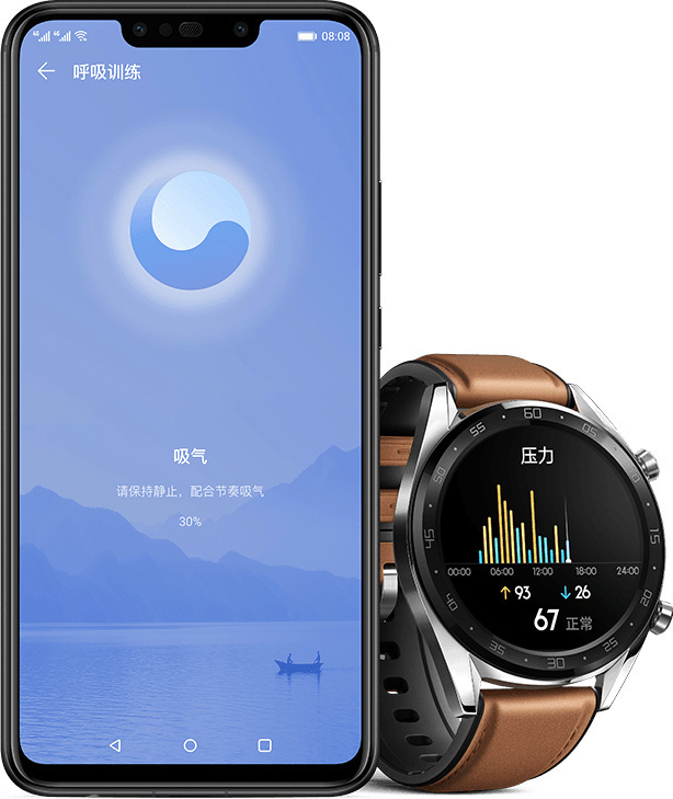 Huawei-Watch-GT-EMUI-9