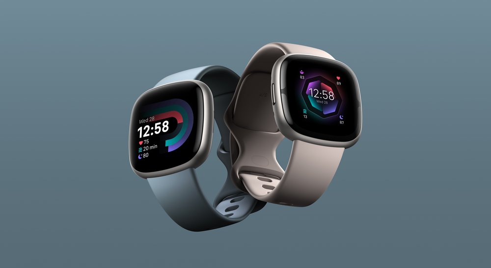 tsunami mager bod Fitbit Maakt Verschillende Betaalde Features Gratis - Androidics.nl