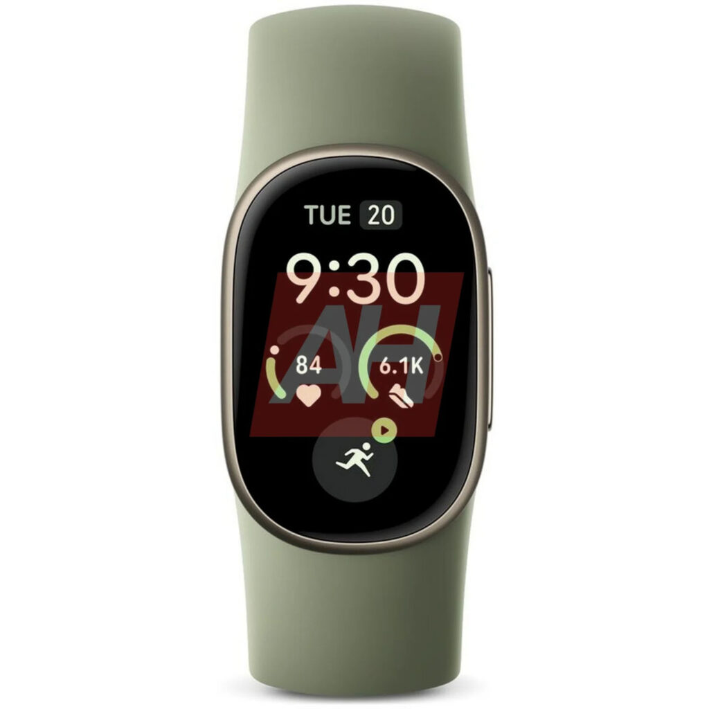 Google Fitbit Edge groen